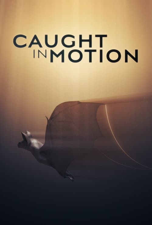 Caught in Motion