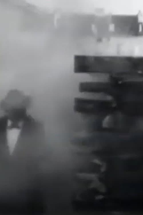 Wood Fire