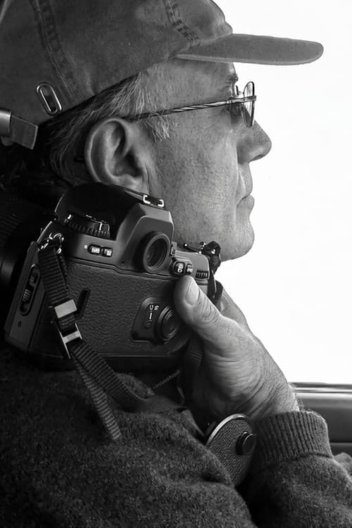 On the Road with Abbas Kiarostami