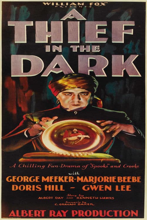 A Thief in the Dark