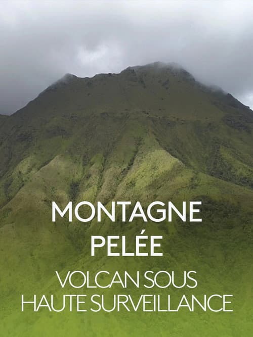 Montagne Pelée, volcan sous haute surveillance