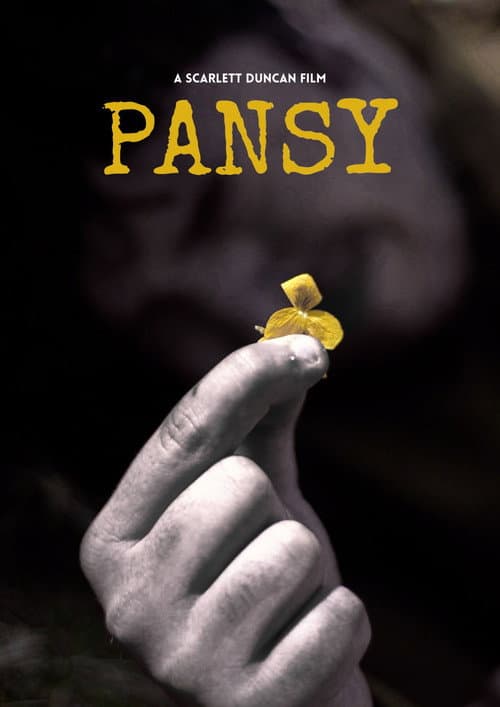 Pansy