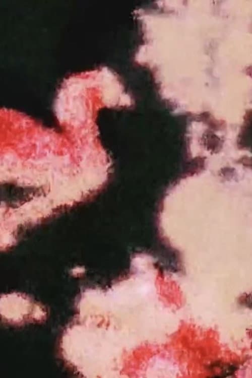 Hejira, Fragmented