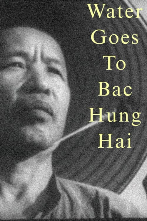 Water Goes to Bac Hung Hai