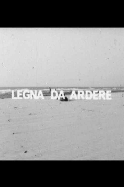 Legna da ardere