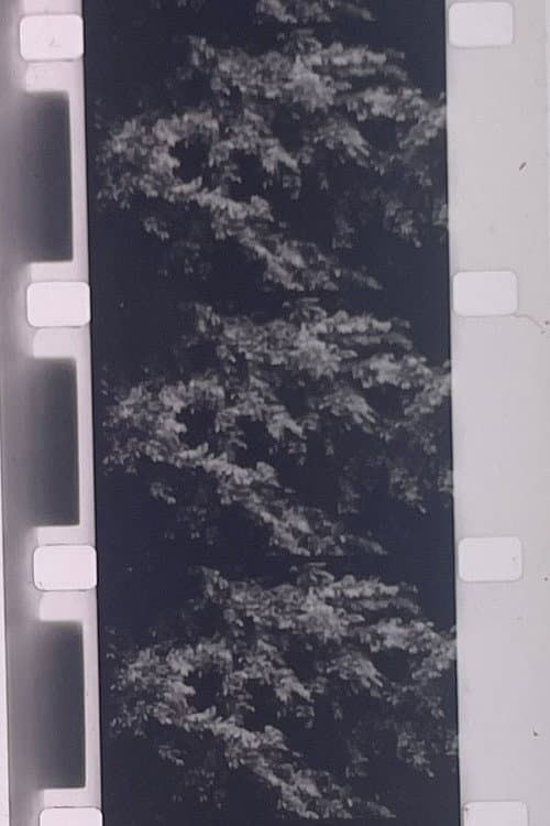 Plotting the Grey Scale: 2 or 3 Quick Traverses
