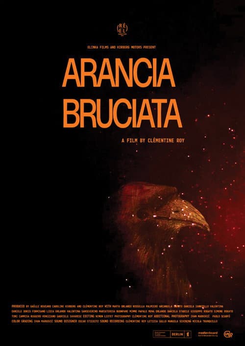 Arancia Bruciata