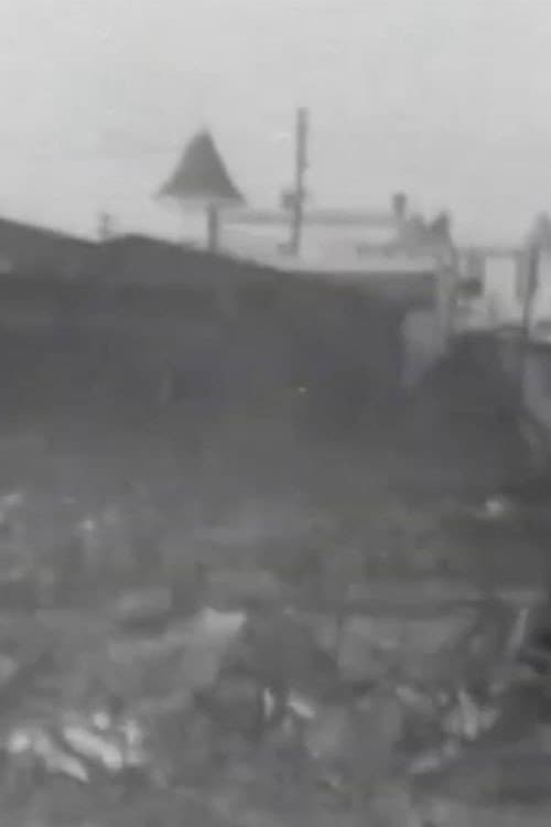 The Great Fire Ruins, Coney Island