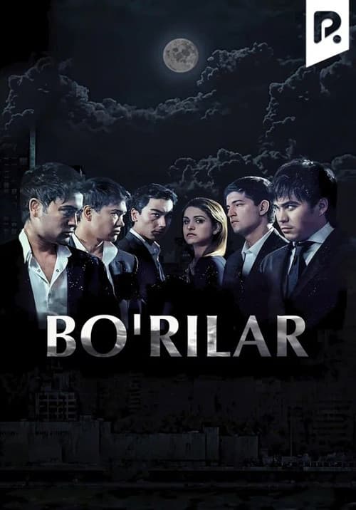 Bo'rilar