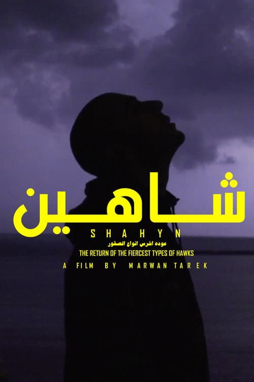 SHAHYN - THE RETURN OF THE FIERCEST TYPES OF HAWKS