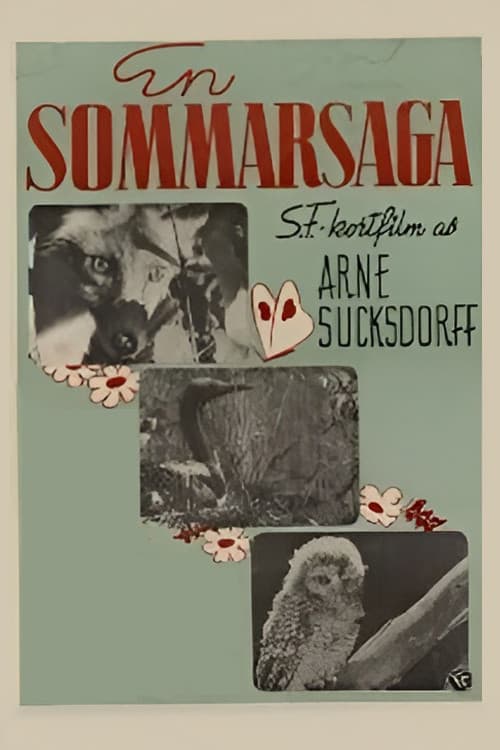 Summer's Tale