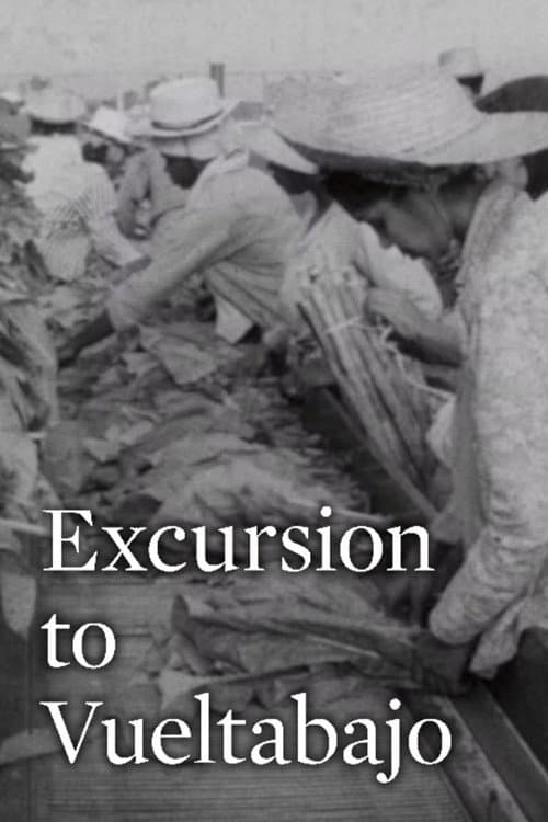 Excursion to Vueltabajo