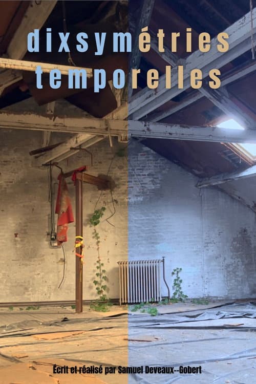 dixsymétries temporelles