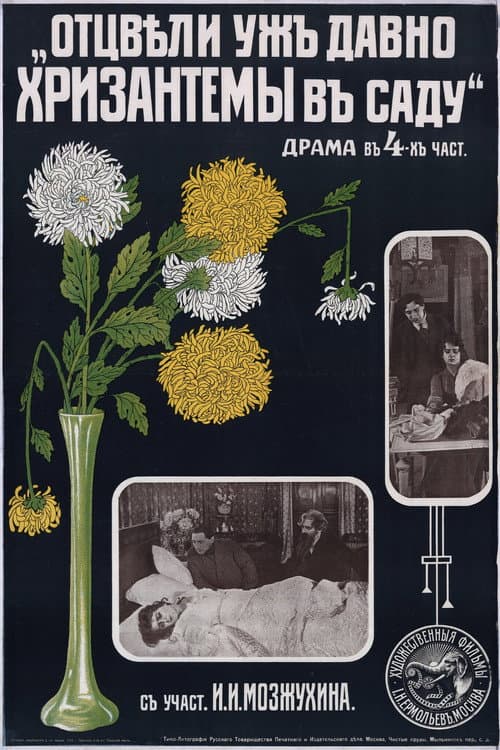 Long Gone are Chrysanthemums in a Garden