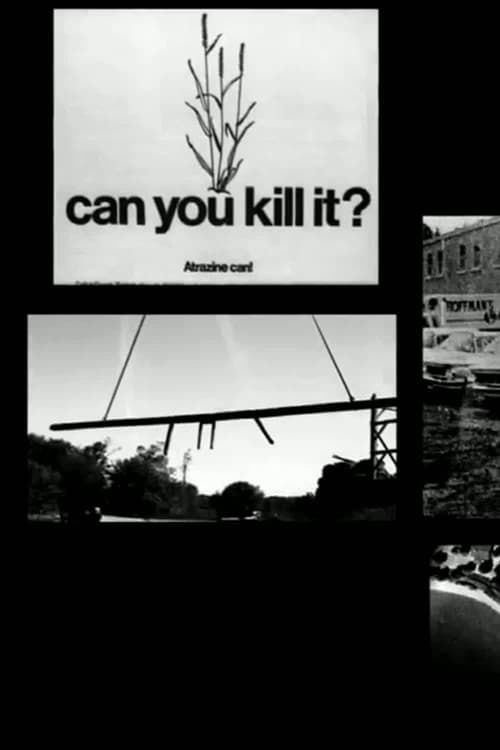 Slaughterhouse