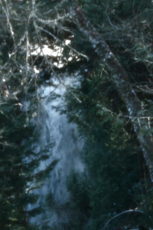 Leaves for a reel