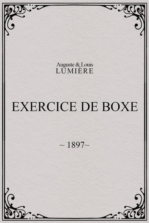 Exercice de boxe