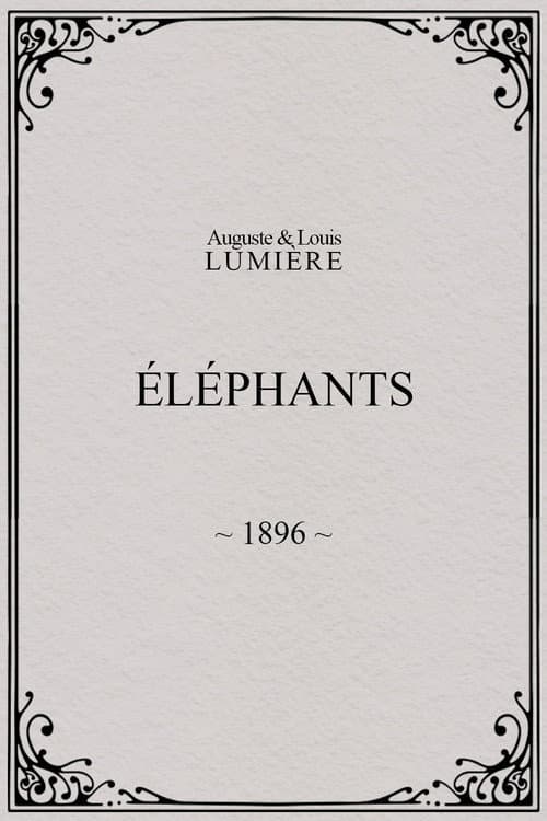 Elephants