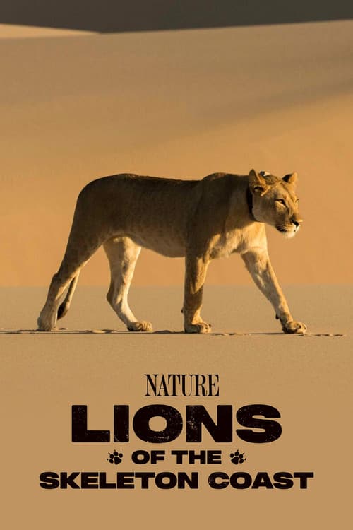 Lions of the Skeleton Coast