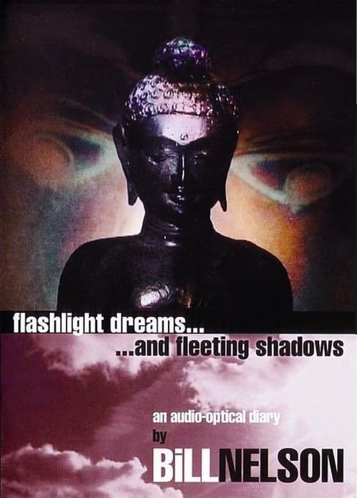 Flashlight Dreams and Fleeting Shadows: an Audio-Optical Diary by Bill Nelson