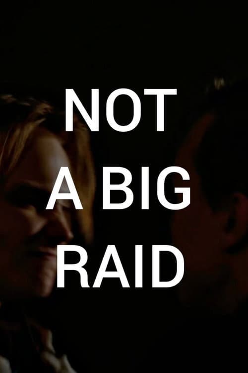 NOT A BIG RAID
