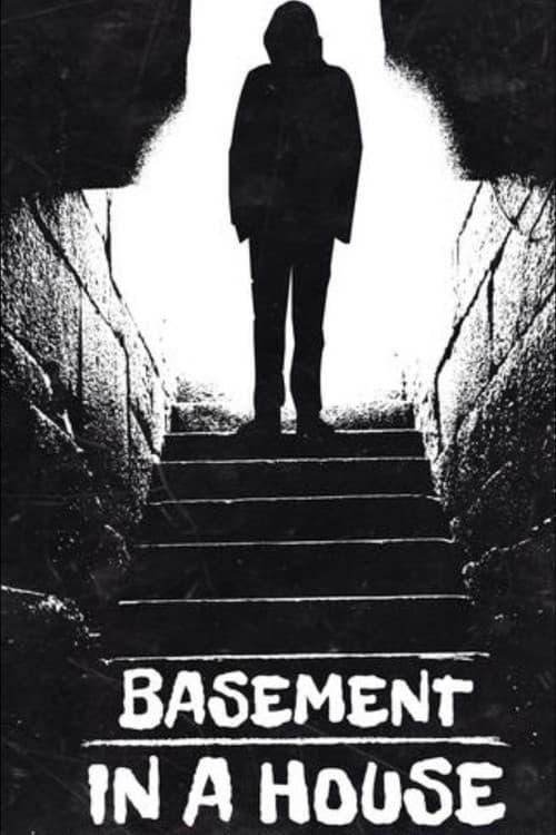 Basement in a House