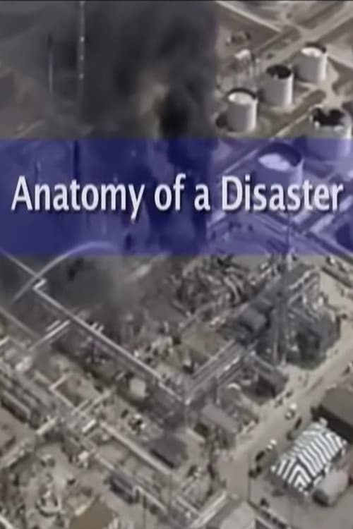 Anatomy of a Disaster: Explosion at BP Texas City Refinery