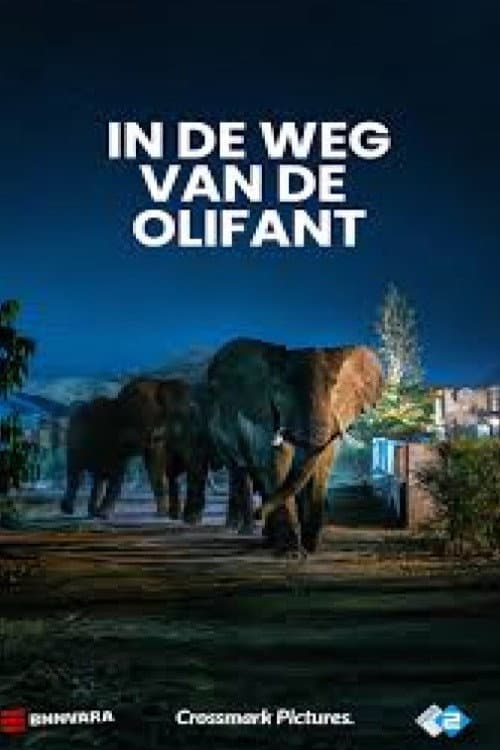 In the Footsteps of Giants