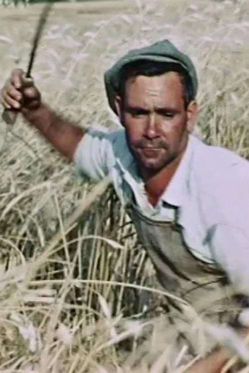The Wheat Passion