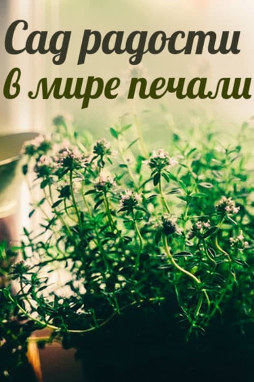 A Garden of Joy in a World of Sorrow