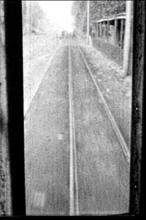 Straight Line (Stevens Duke)