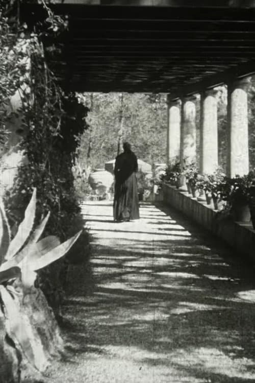The Servant