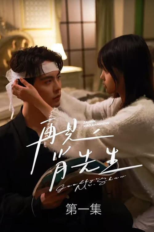 再见了，肖先生