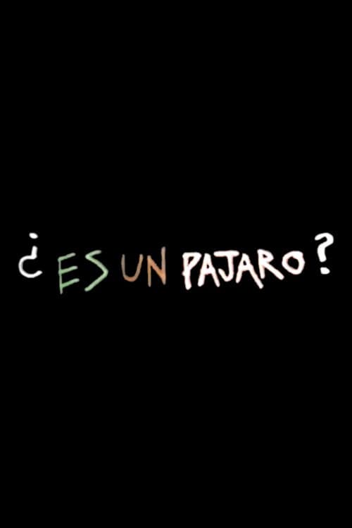 Es Un Pajaro
