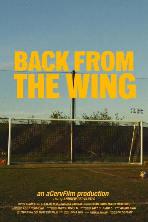 Back from the Wing