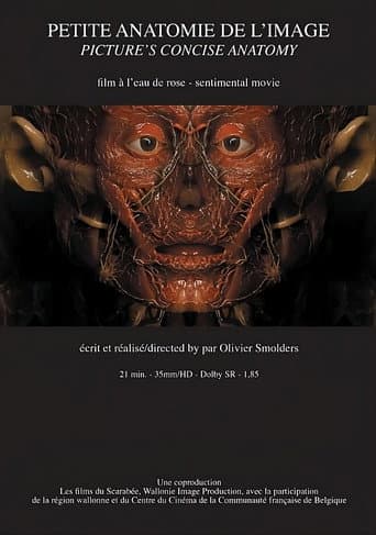 Petite anatomie de l'image