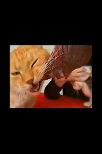Voracious Cats