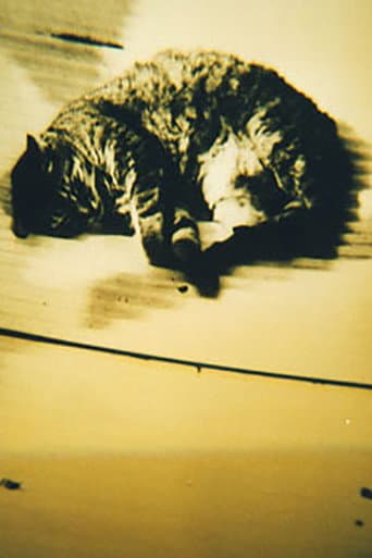 Animal Studies