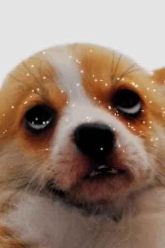 puparazzi