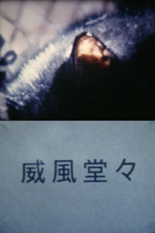 ELEGY