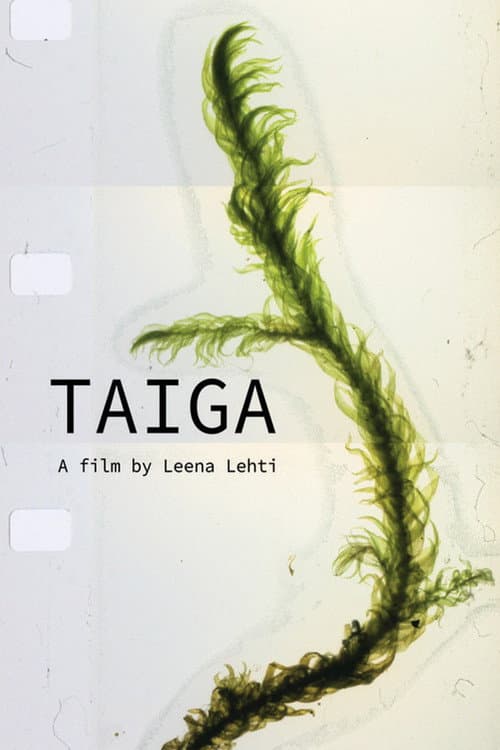 Taiga
