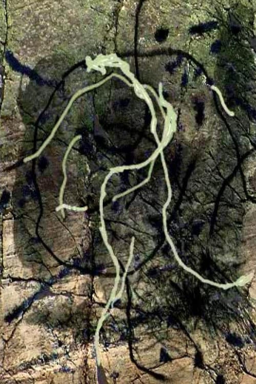 Thunder River