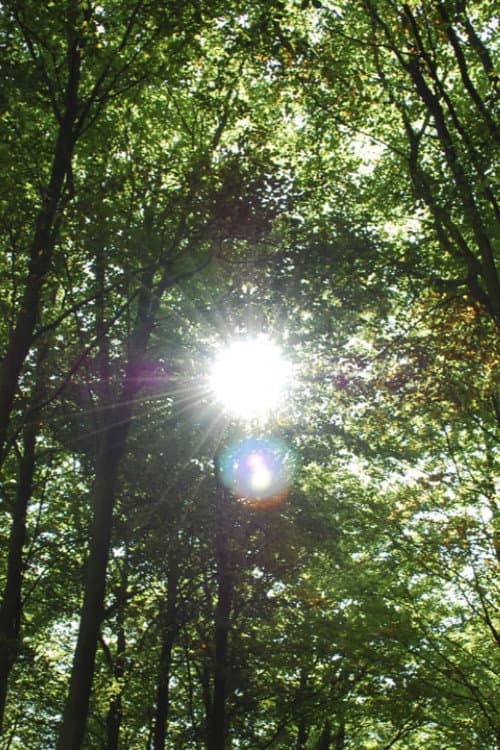 Heliocentric