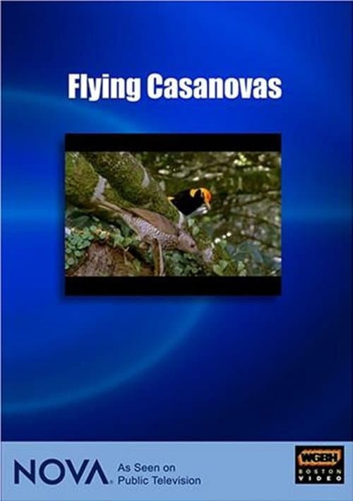 Flying Casanovas