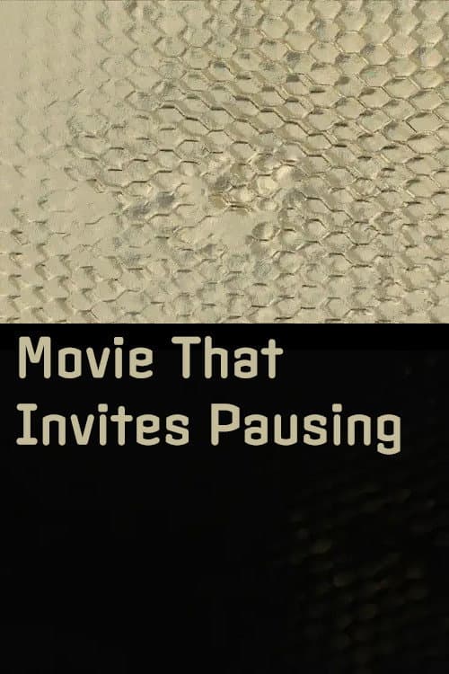 Movie That Invites Pausing