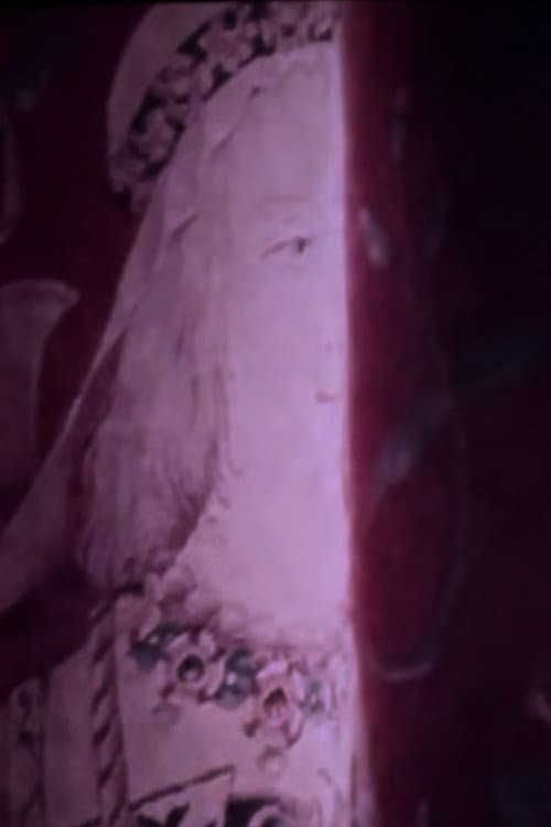 Les larmes amères de Petra von Kant